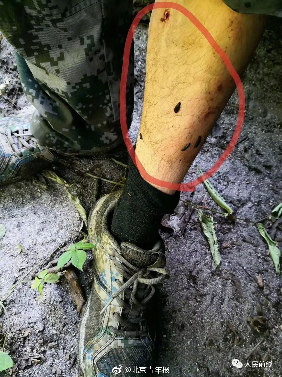 《海贼王第890集》在线观看