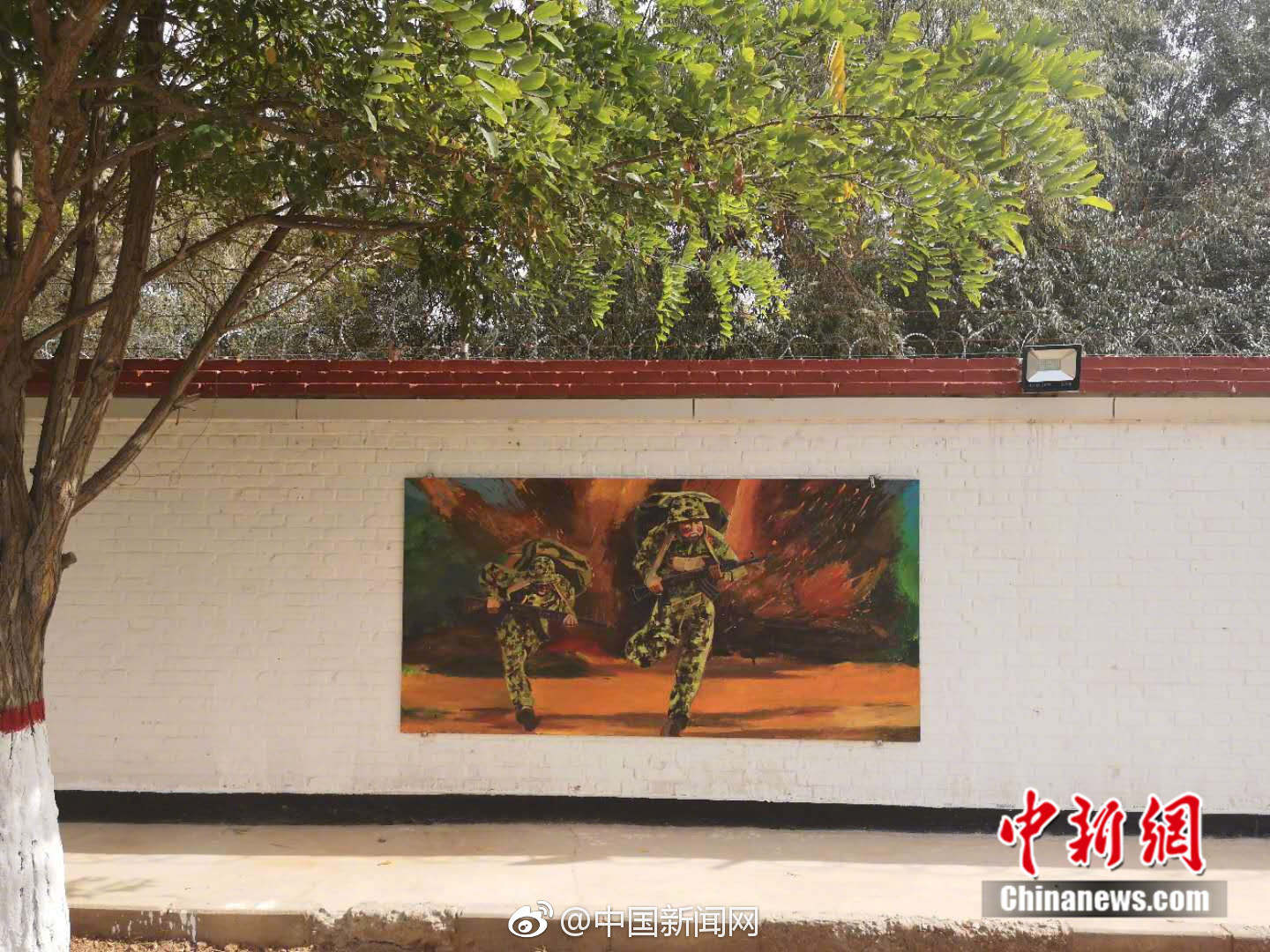 re从零开始漫画