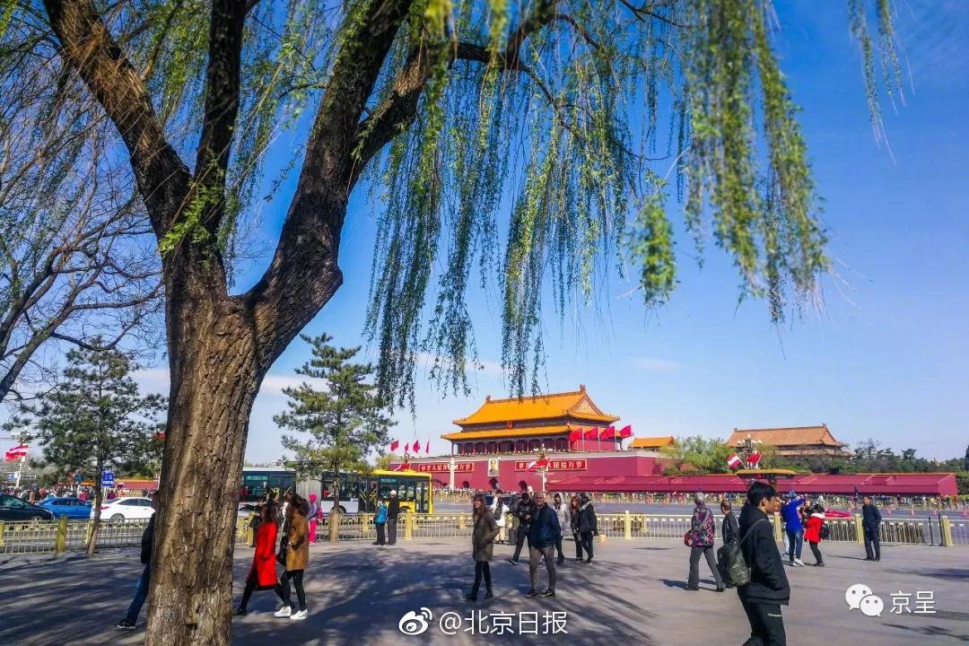 《海贼王第890集》在线观看