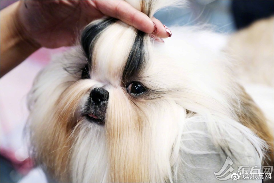 数字阅读普及下，韩漫免费观看的凯发k8国际首页登录的版权风险与安全提示