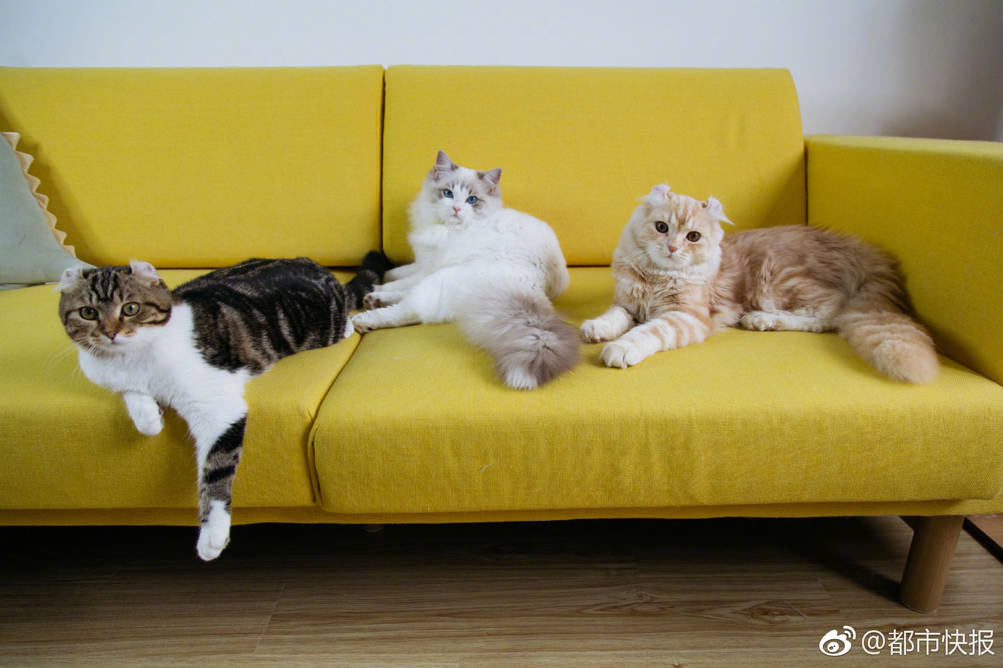 datealive 地铁逃生回归！biubiu免费加速，畅玩海量海内外精品手游