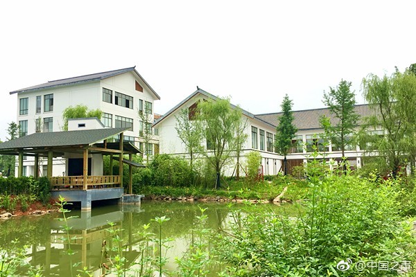 丑女的后宫法则下拉式古风