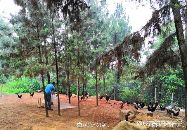 免费在线可阅读漫画成首选，却面临凯发k8国际首页登录的版权等难题待剖析？