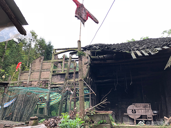 终极斗罗漫画星球免费下拉式