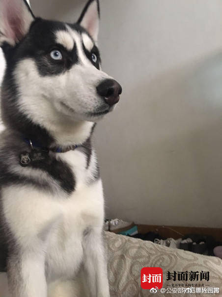 备受关注的死神230模型，设计与工艺究竟有多出色？