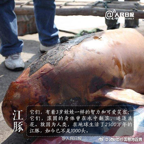 阅站漫画：资源丰富更新快，免费福利多，阅读体验超棒