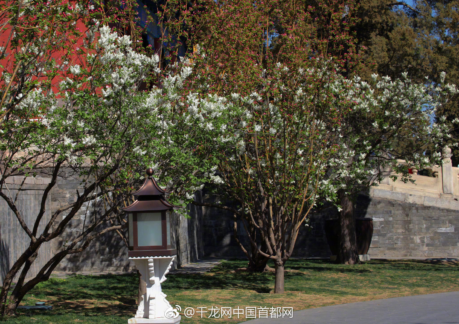 2022最火国漫排行榜前十名