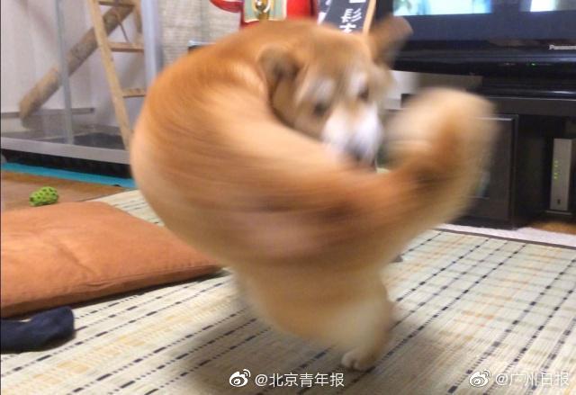 datealive 地铁逃生回归！biubiu免费加速，畅玩海量海内外精品手游