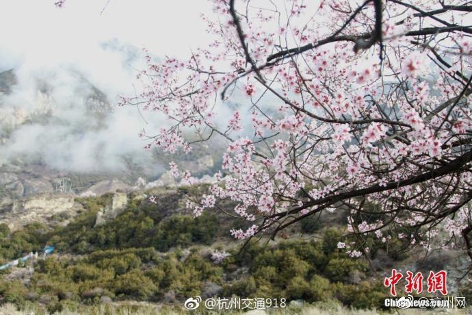 网络文学爱好者必读！新笔趣阁现状及使用建议大揭秘？