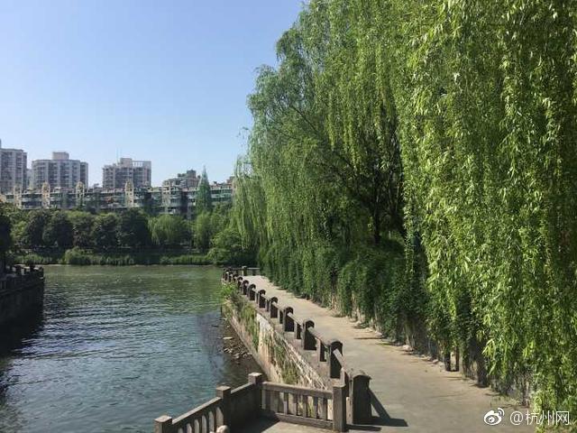 免费漫画阅站app下载安装无广告，畅享丰富漫画资源