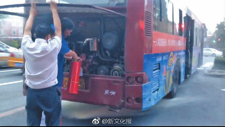 弱点漫画在线观看