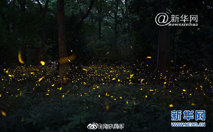 王牌御史古风漫画网最新