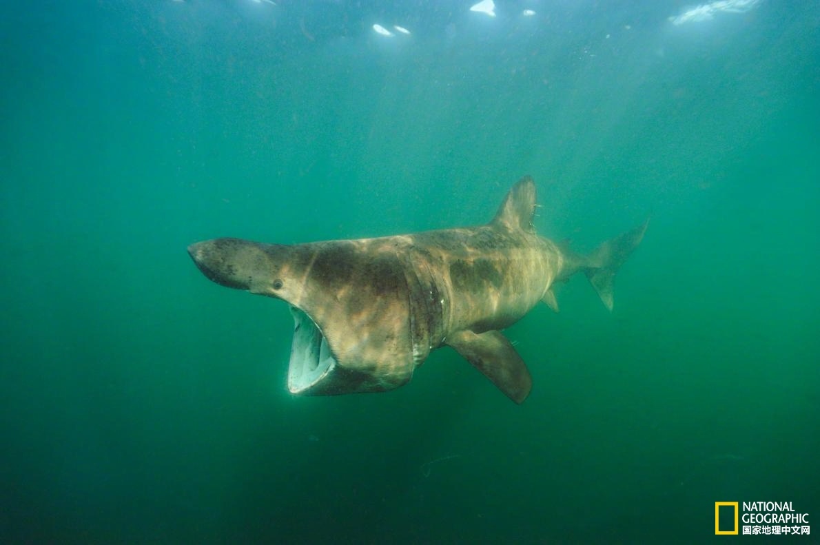 网络文学爱好者必读！新笔趣阁现状及使用建议大揭秘？