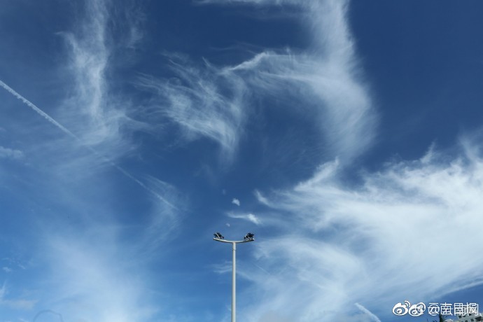 《海贼王第890集》在线观看