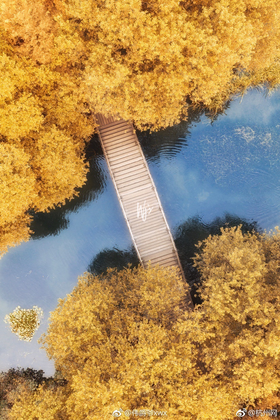 韩国养猪计划漫画免费