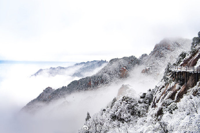 阅站漫画app最新版：免费搜索全网漫画，畅享多种便捷阅读体验