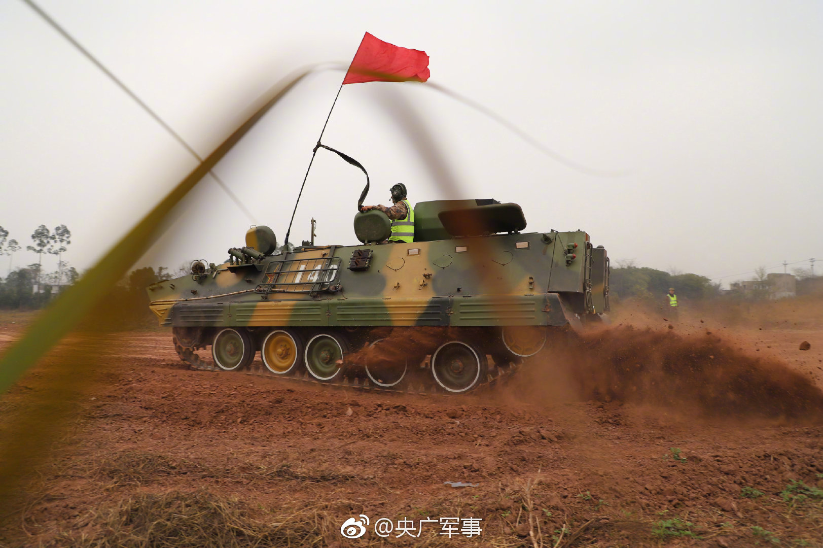 撒野 巫哲 小说