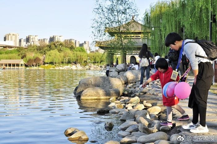 免费漫画阅站官方正版：无广告弹窗，全网漫画免费看