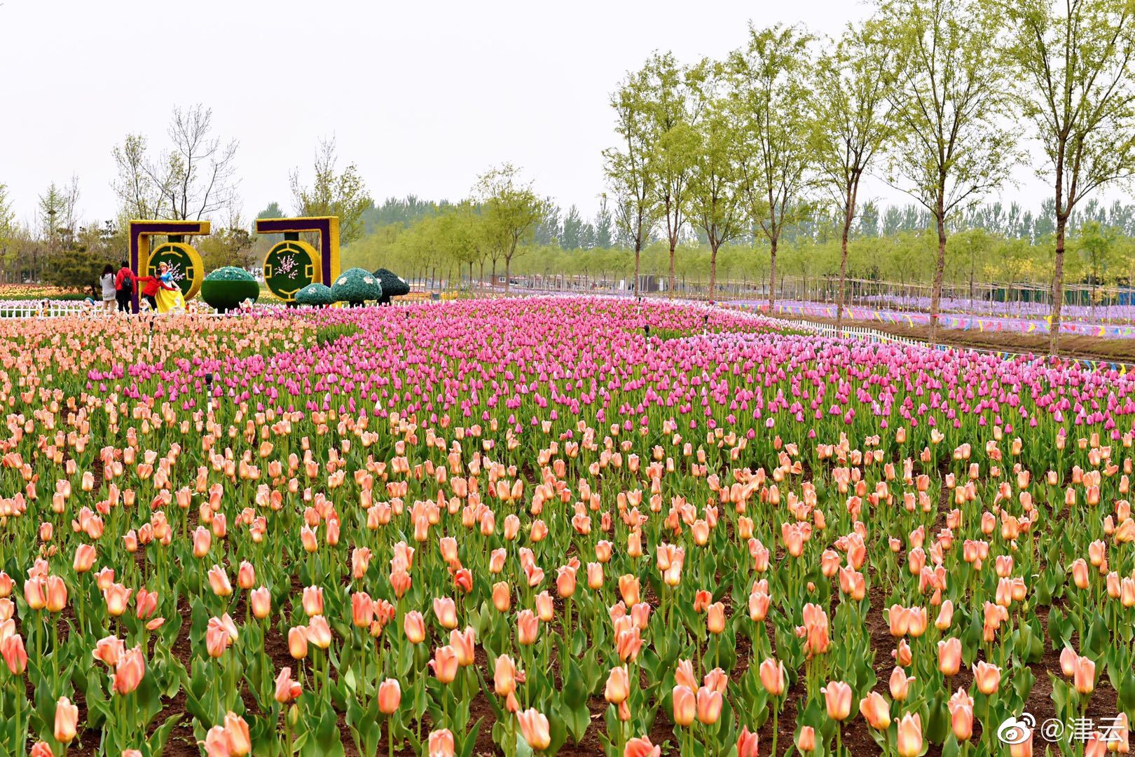 阅站漫画app最新版：免费搜索全网漫画，畅享多种便捷阅读体验