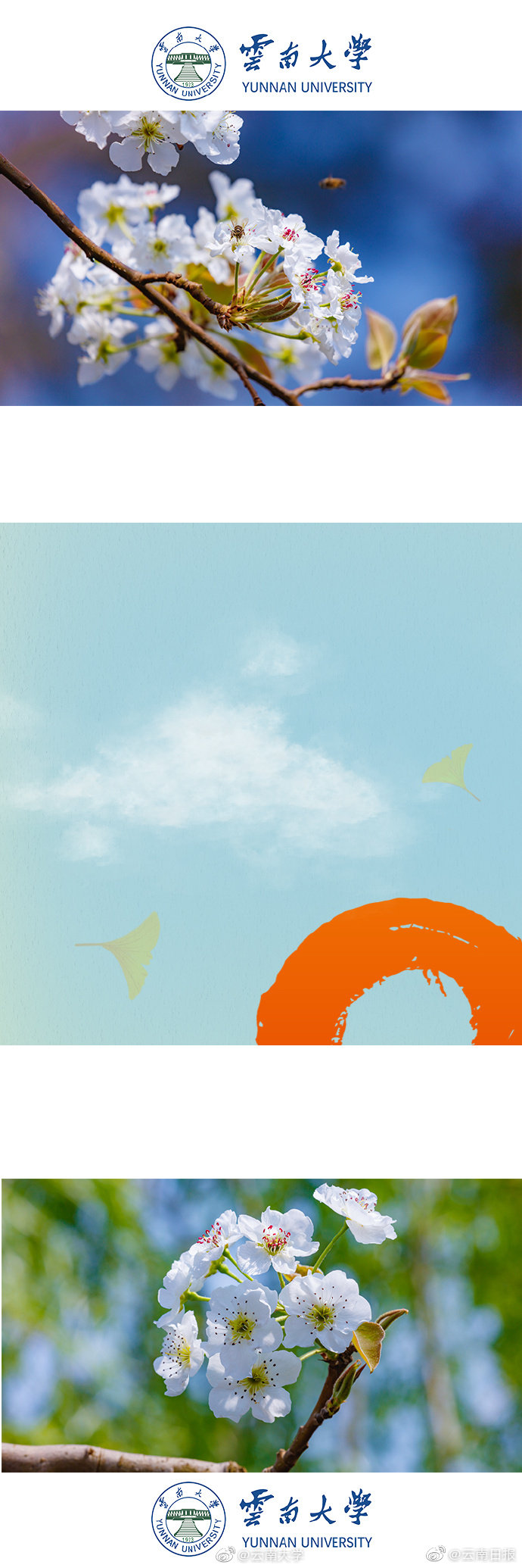 哔哩哔哩隐藏内容怎么找?特殊标签与搜索技巧是关键