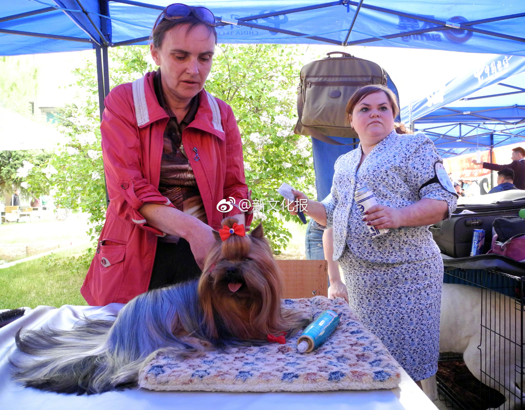 影视作品中万人迷反派为何更吸睛？如何塑造有魅力反派？