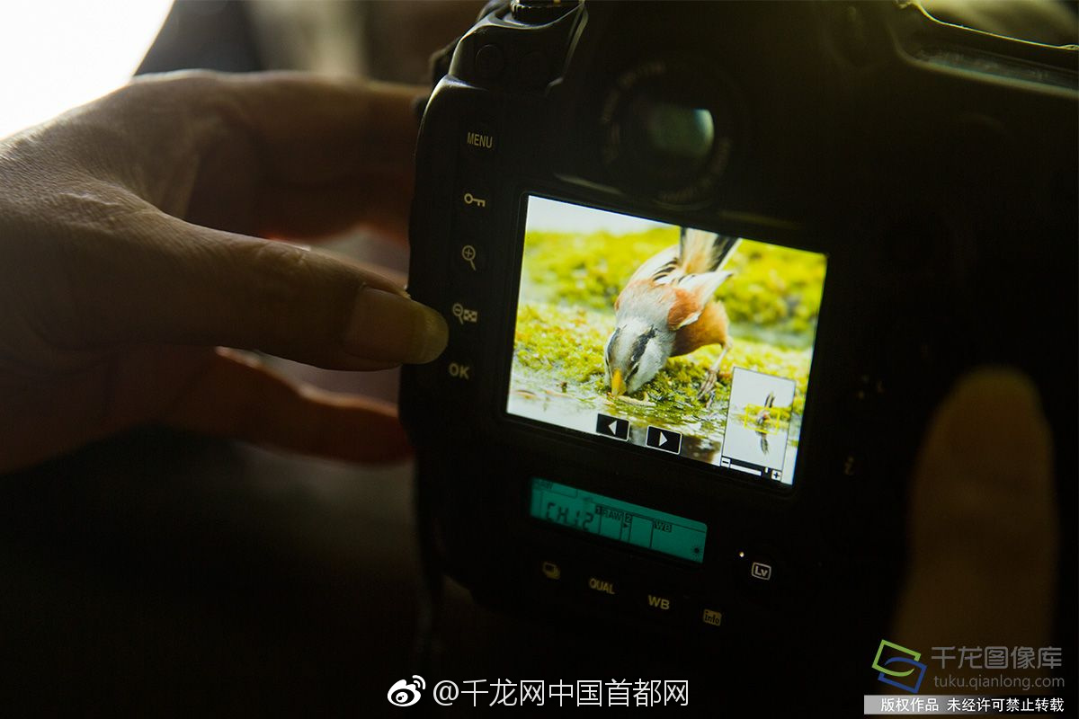 备受关注的死神230模型，设计与工艺究竟有多出色？