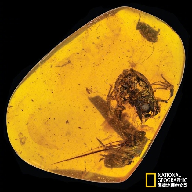 免费在线可阅读漫画成首选，却面临凯发k8国际首页登录的版权等难题待剖析？