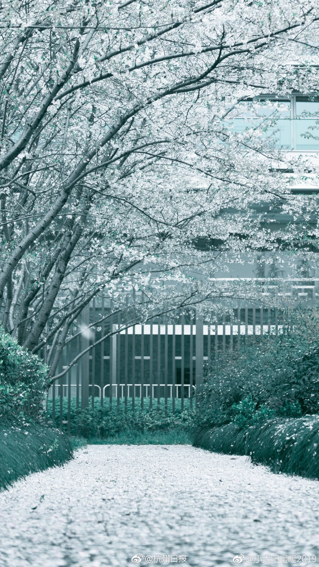 笔趣阁手机版：优质小说阅读软件，类型全且可自由查找