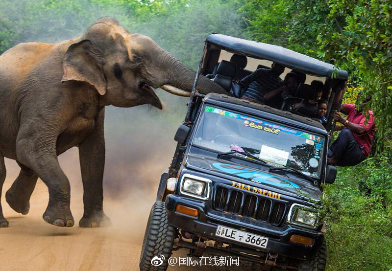 阅站漫画：资源丰富更新快，免费福利多，阅读体验超棒