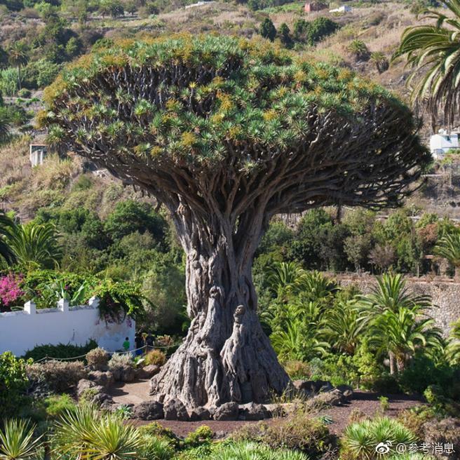 阅站漫画：资源丰富更新快，免费福利多，阅读体验超棒