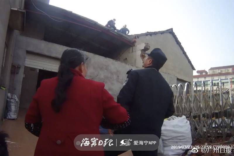 弱点漫画在线观看