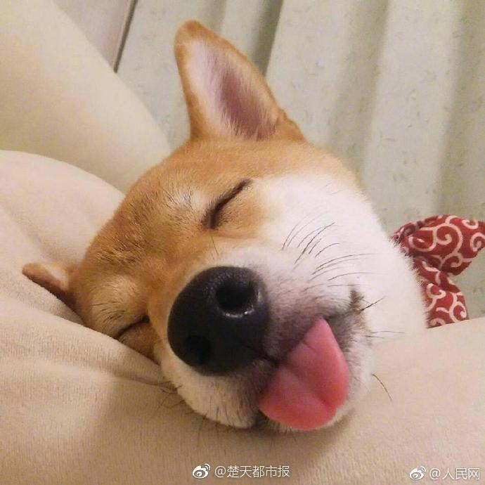 百炼成神漫画全集免费阅读