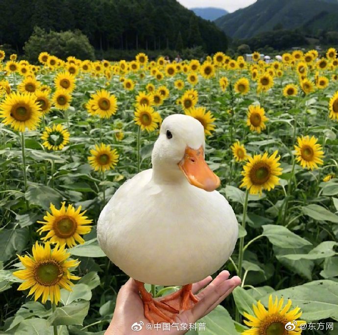 笔趣阁手机版：优质小说阅读软件，类型全且可自由查找