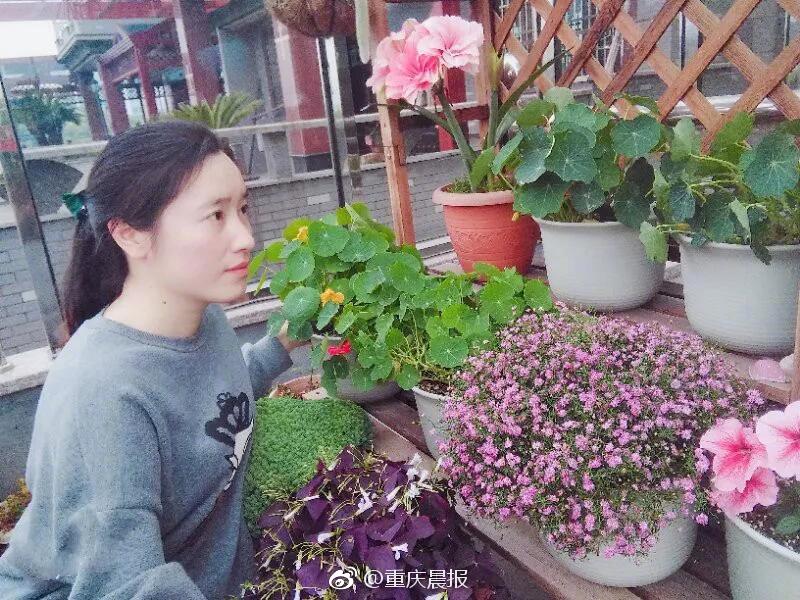 异世界搞笑冒险番为何吸引人？独特设定与反差角色是关键