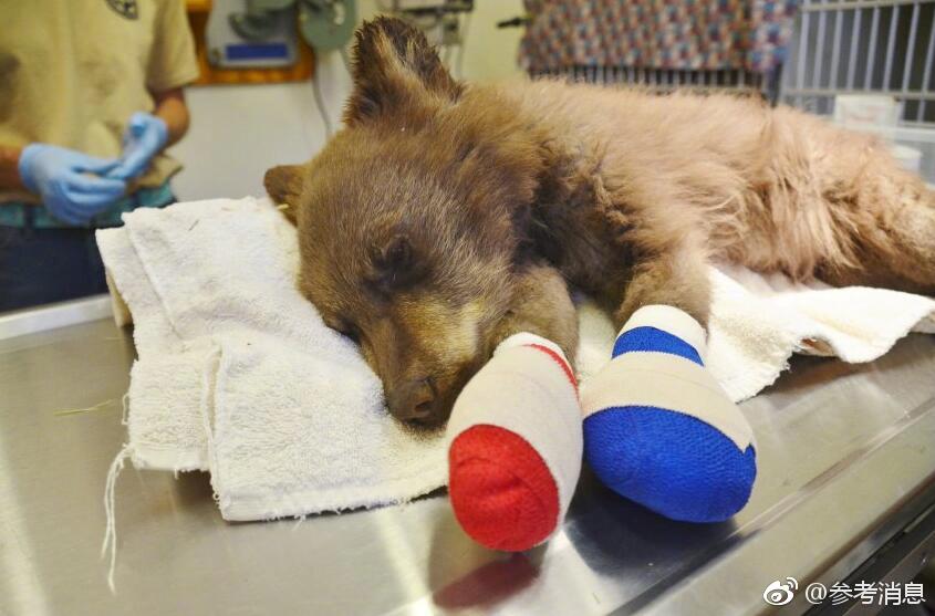 弱点漫画在线观看