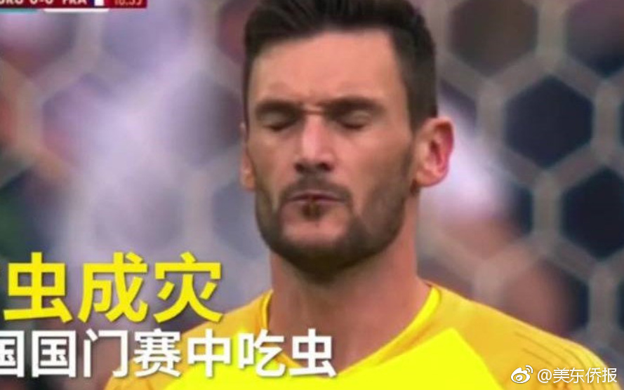 弱点漫画在线观看