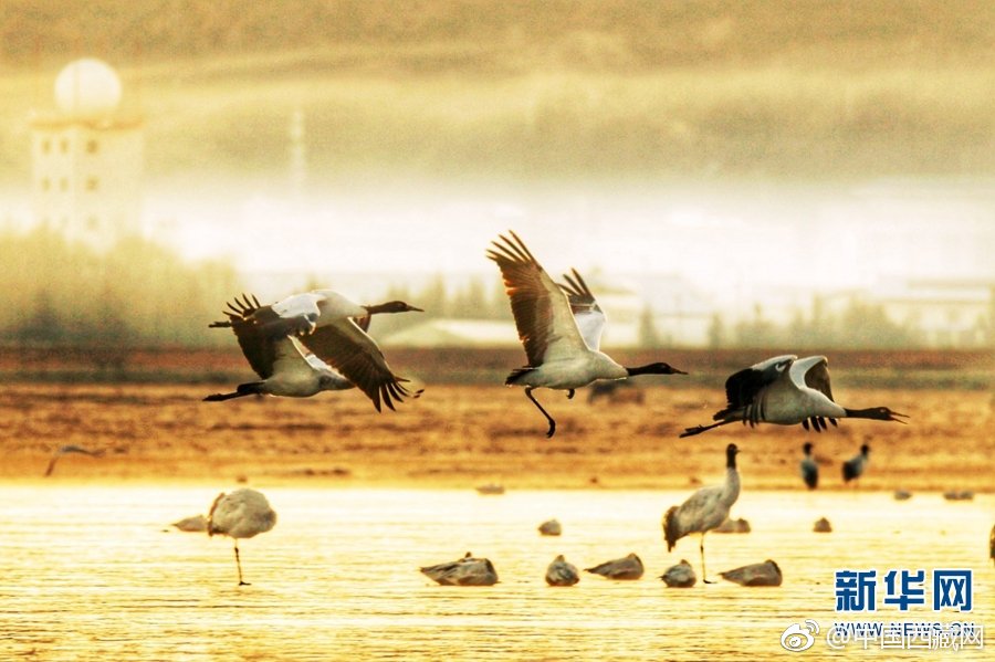 王牌御史漫画免费观看下拉式目录