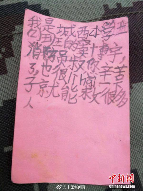 《海贼王第890集》在线观看