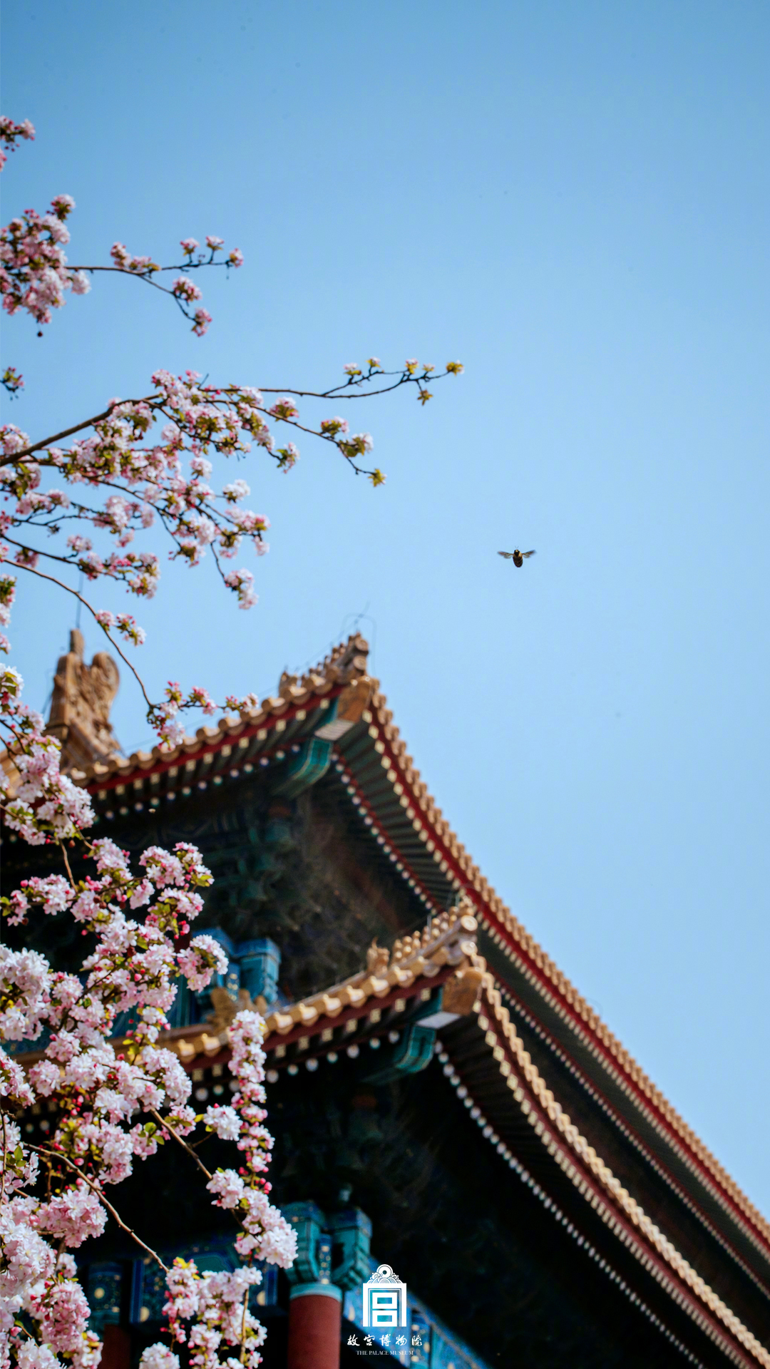 影视作品中万人迷反派为何更吸睛?如何塑造有魅力反派?