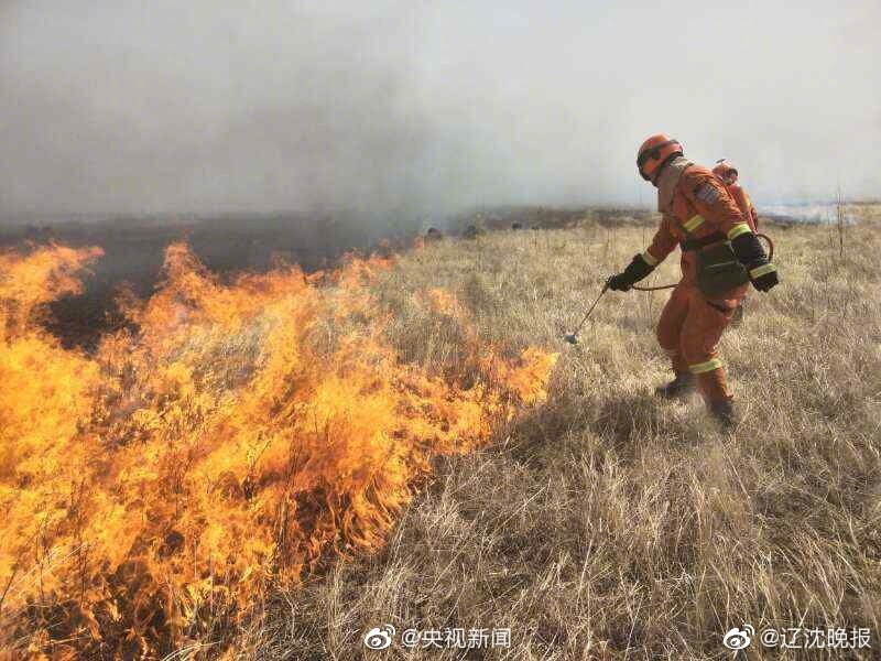 《海贼王第890集》在线观看