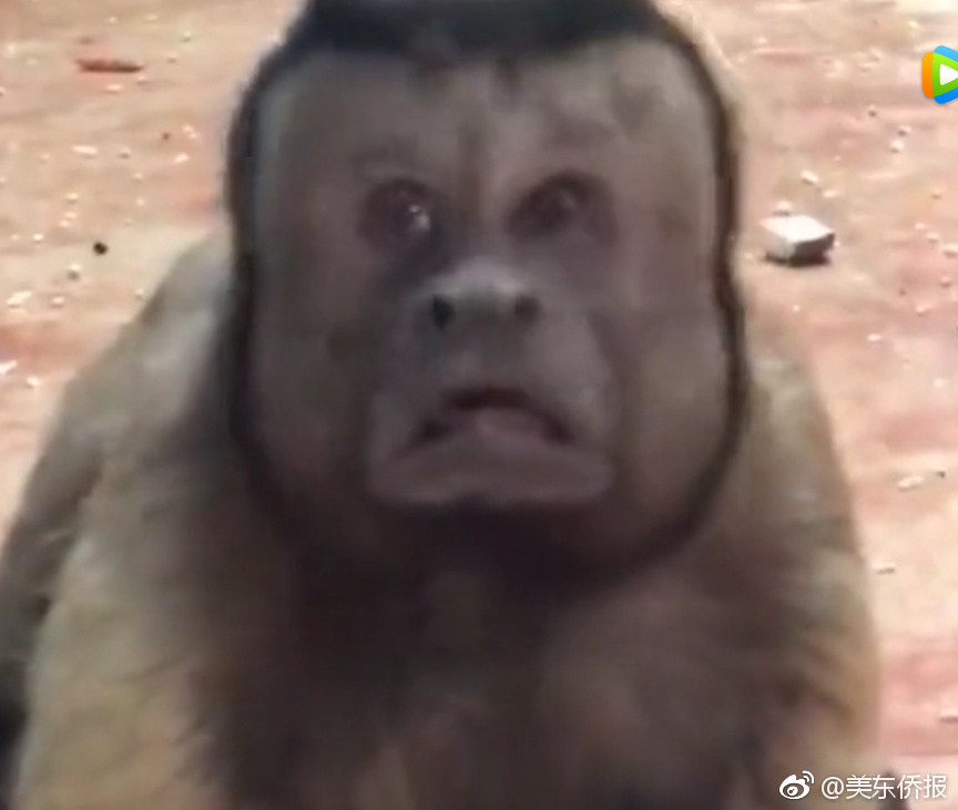 数字阅读普及下，韩漫免费观看的凯发k8国际首页登录的版权风险与安全提示