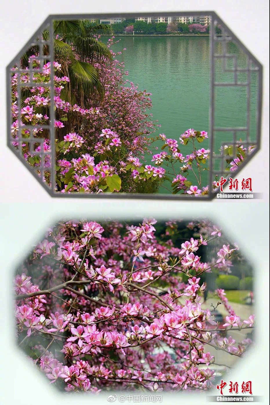 异世界搞笑冒险番为何吸引人？独特设定与反差角色是关键