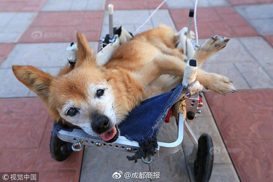 笔趣阁手机版：优质小说阅读软件，类型全且可自由查找