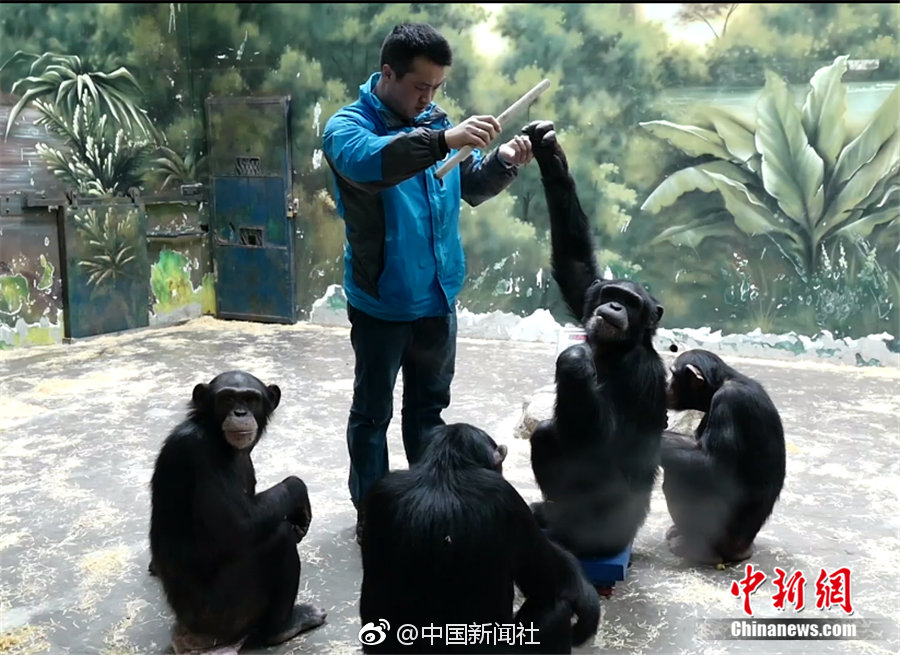 阅站漫画app最新版：免费搜索全网漫画，畅享多种便捷阅读体验