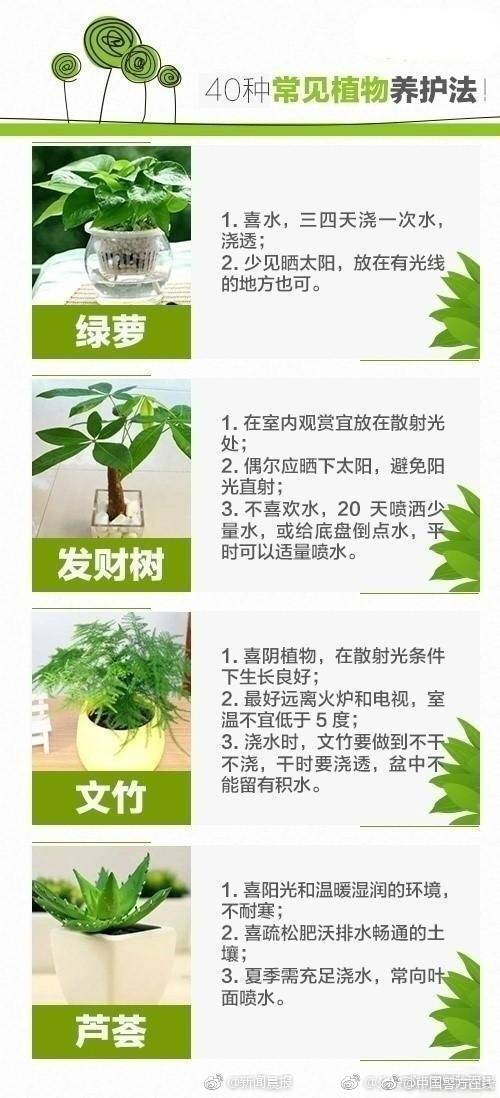 缘之空借兄妹情纠葛引发思索，为何对兄妹恋情描绘引争议？