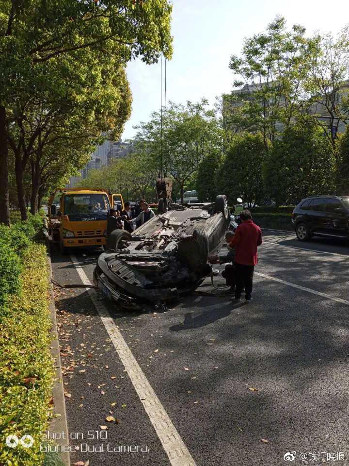 阅站漫画app最新版：免费搜索全网漫画，畅享多种便捷阅读体验