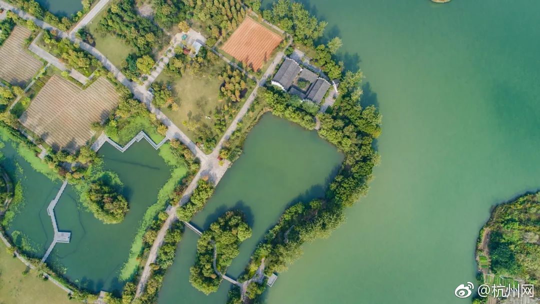 斗破苍穹老粉必看！正版免费观看渠道及支持正版的意义