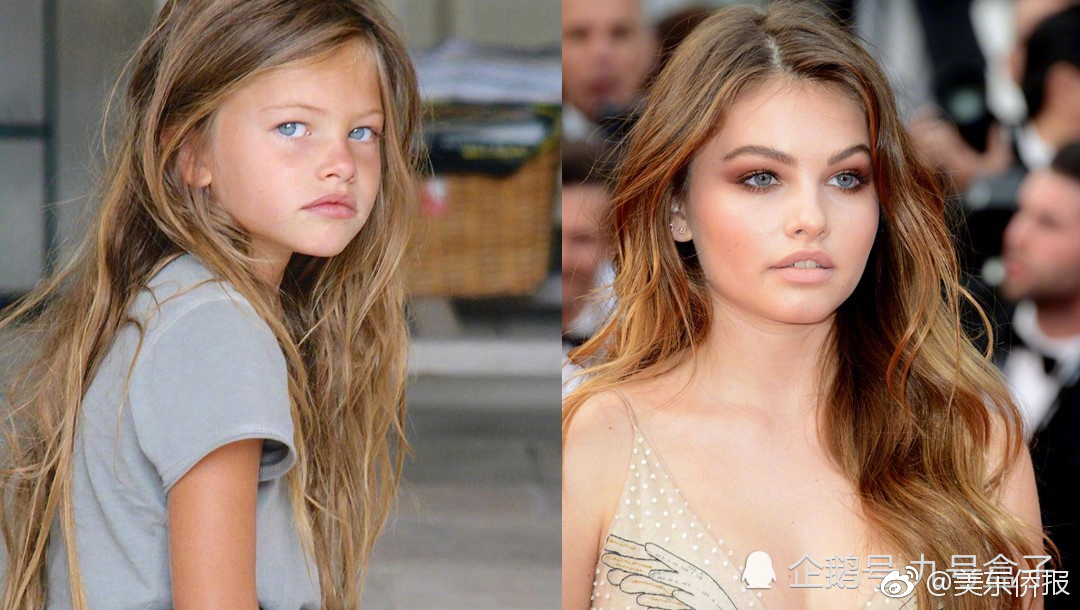 猫咪精品2021免费入口