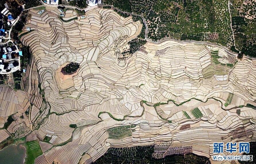 哔哩哔哩隐藏内容怎么找？特殊标签与搜索技巧是关键