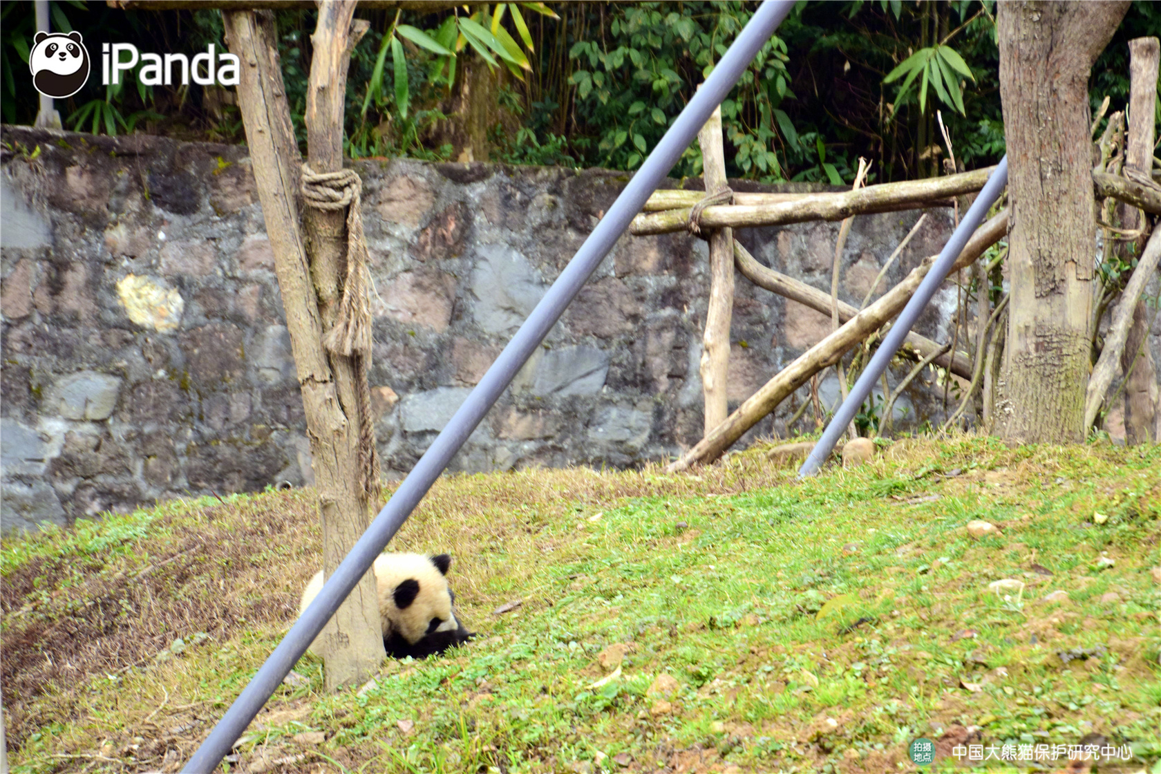 一个粢饭团多少克